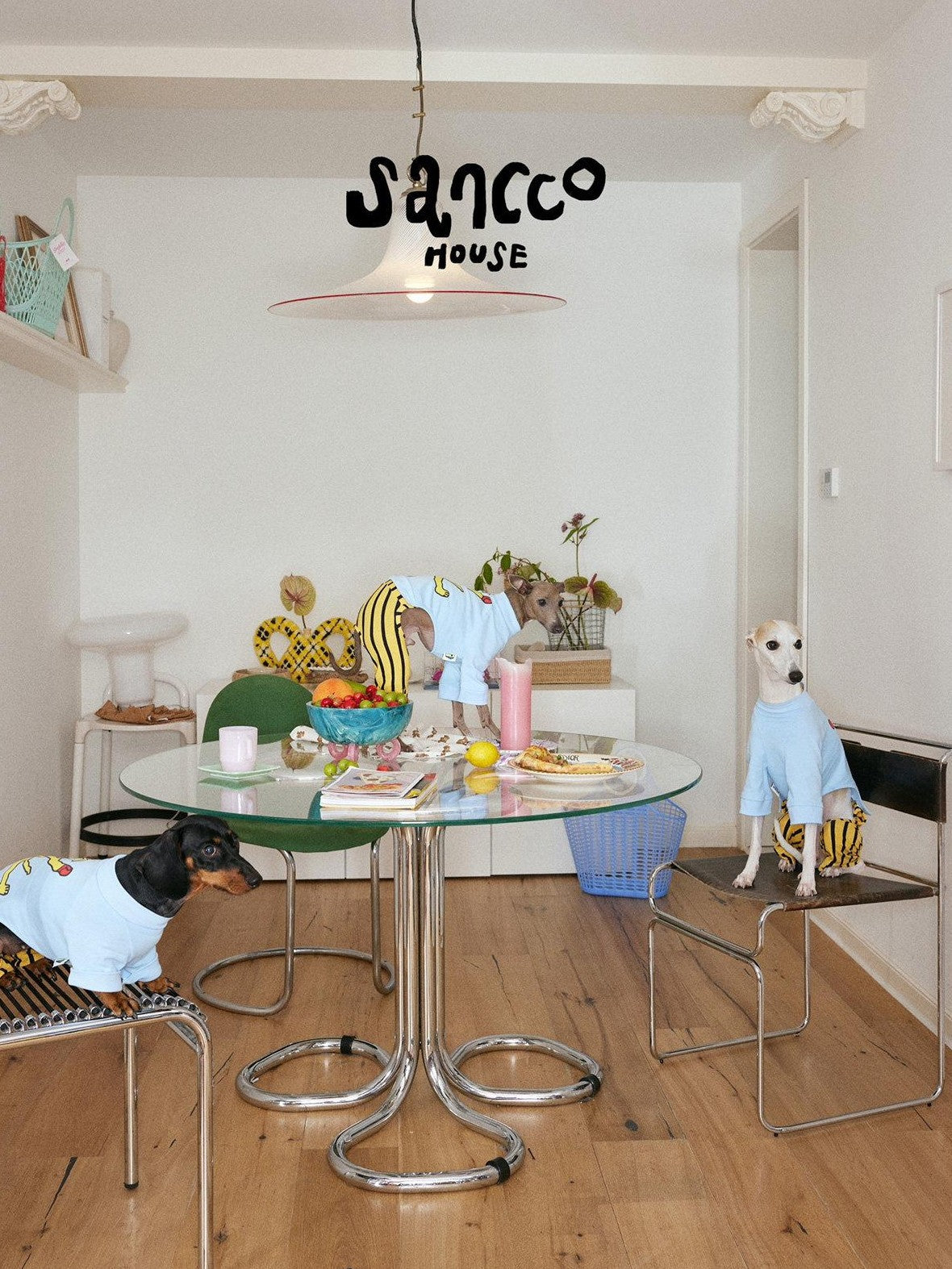 sancco house Boxing Puppy Print Colorblock Striped Women&