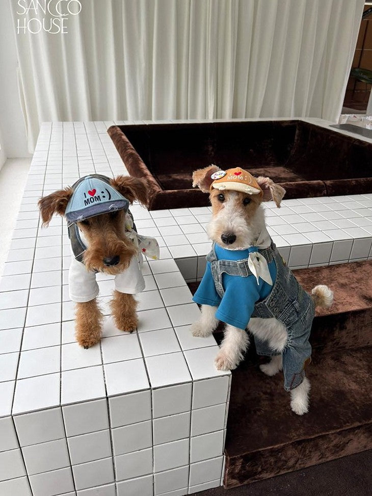 sancco house Colorblock 3d Embroidered Pet Matching Women&