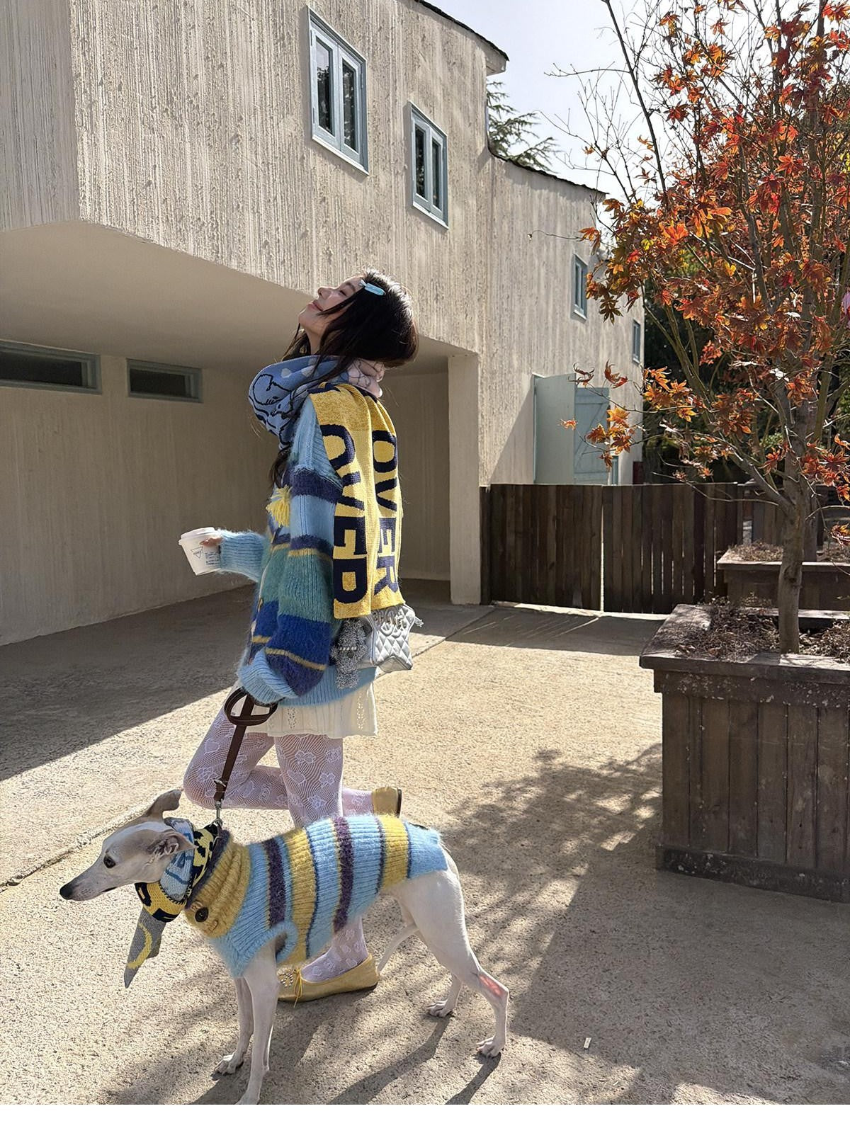 sancco house Colorblock Letter Jacquard Women&