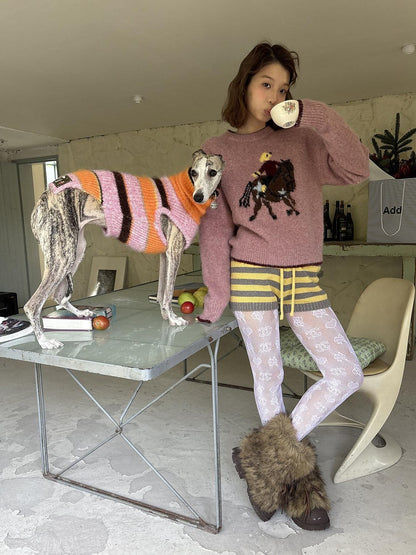 sancco house Colorblock Stripe Chunky Knit Women&