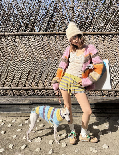 sancco house Contrast Striped Slim Fit Chunky Knit Women&