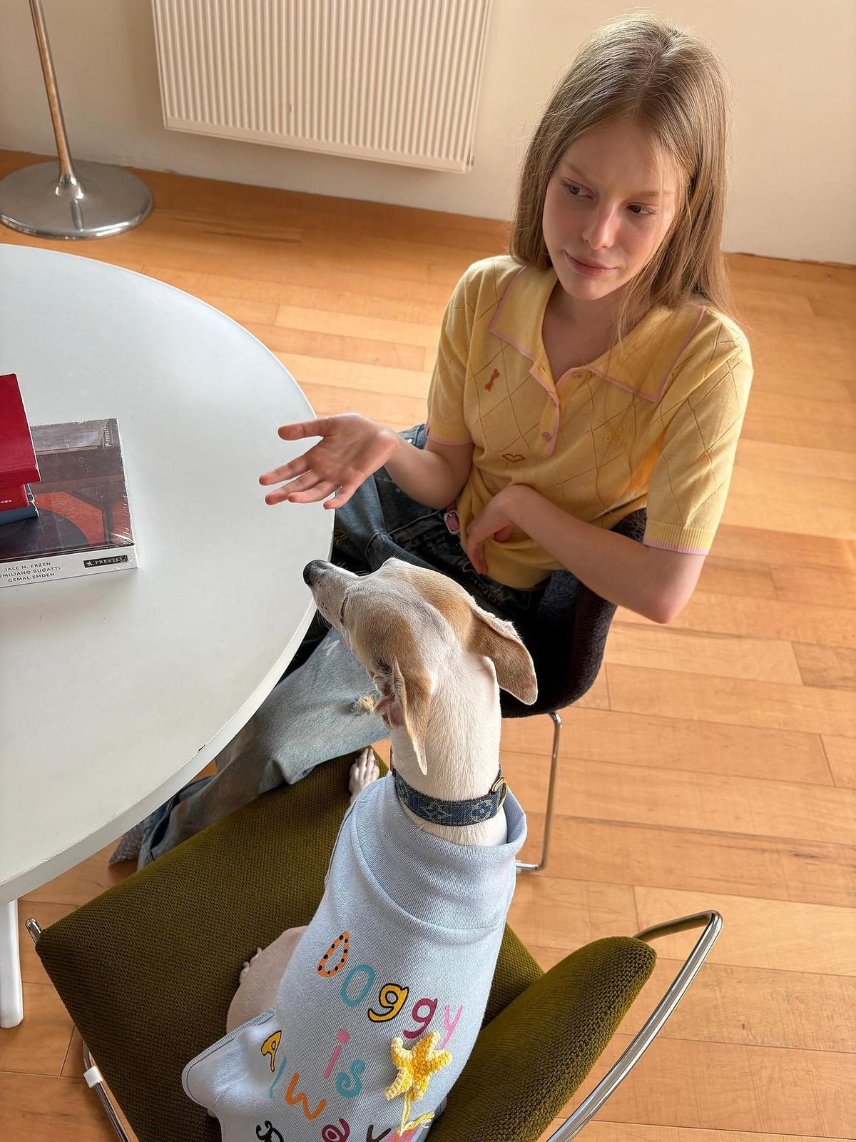 sancco house Embroidered Knit Short Sleeve Loose Fit Women&