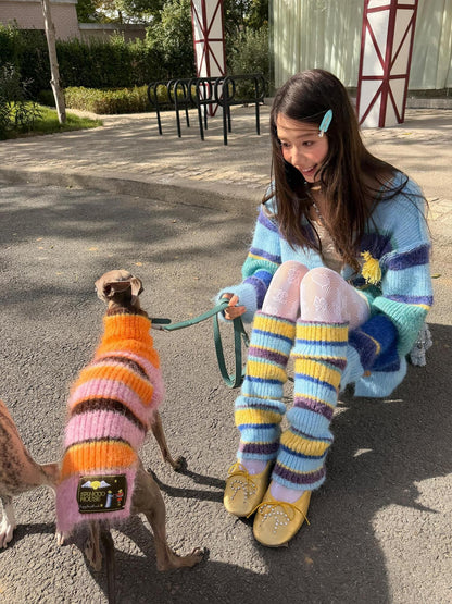 sancco house Multicolor Colorblock Striped Knitted Women&