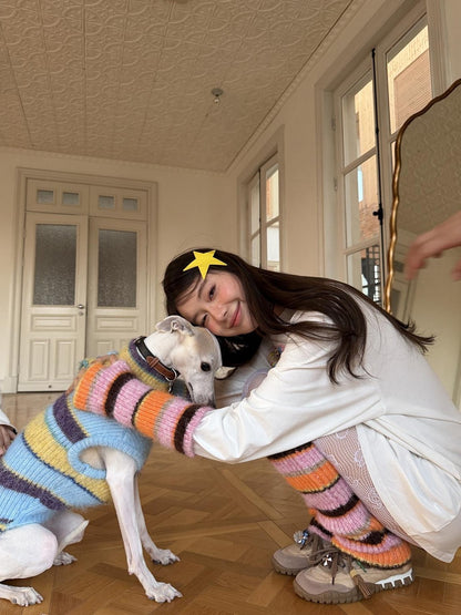 sancco house Multicolor Striped Colorblock Knitted Women&