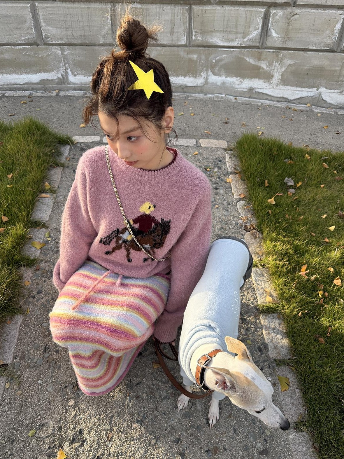 sancco house Playful Pony Jacquard Crewneck Women&