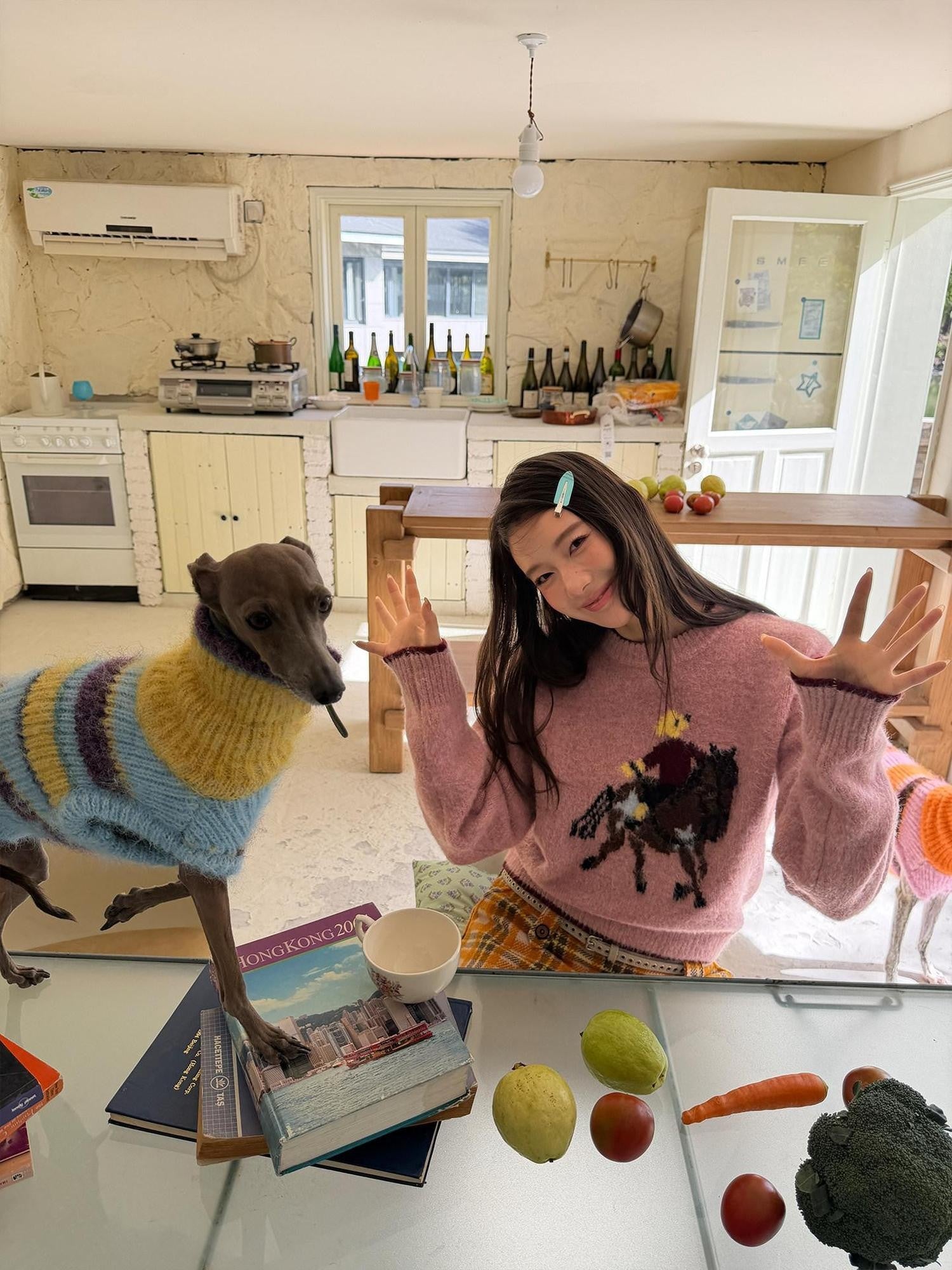 sancco house Playful Pony Jacquard Crewneck Women&