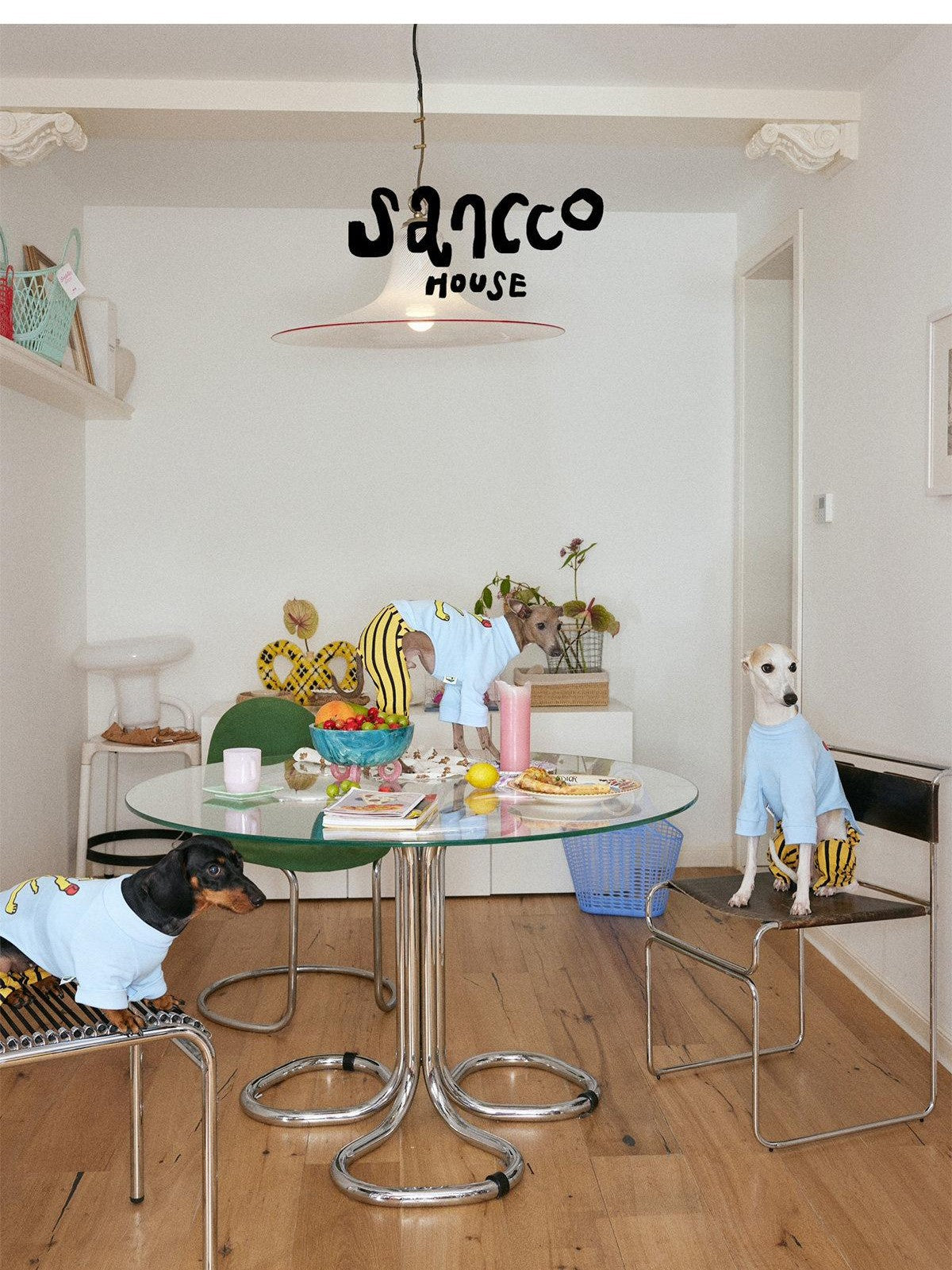 sancco house Striped Colorblock Boxing Puppy Print Women&